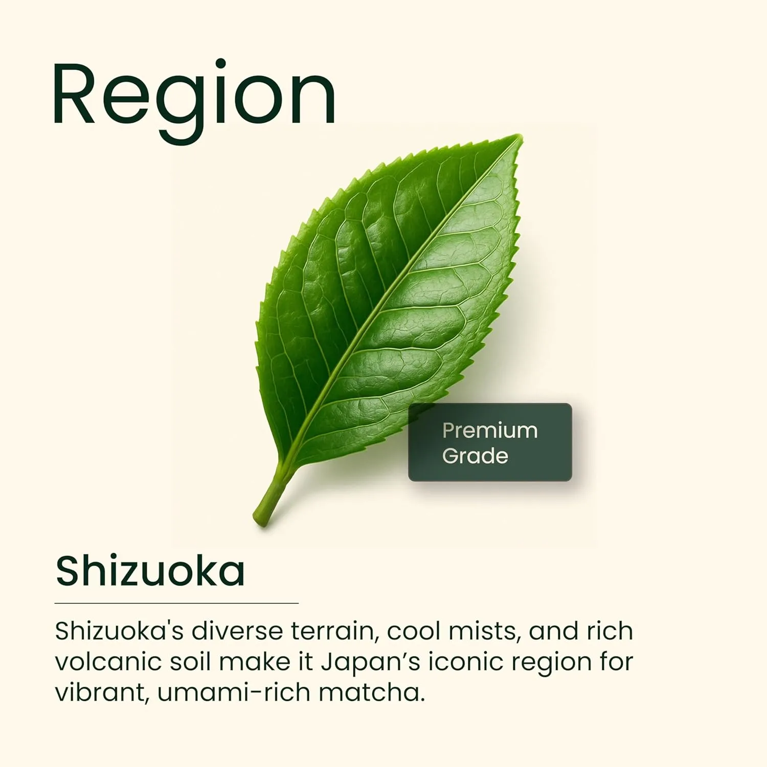 Heapwell Japanese Matcha 100g – Premium Ceremonial Green Tea